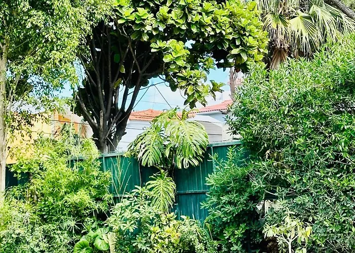Nola *